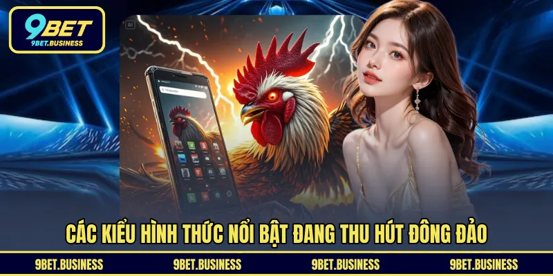 Các kiểu hình thức nổi bật đang thu hút đông đảo