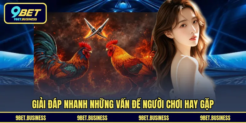 Giải đáp nhanh những vấn đề người chơi hay gặp 