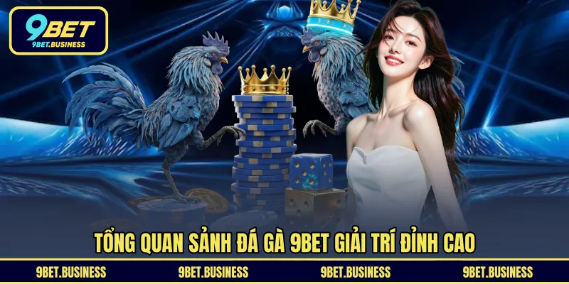 Tổng quan sảnh đá gà 9BET giải trí đỉnh cao 